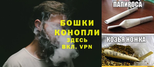 гашик Верея