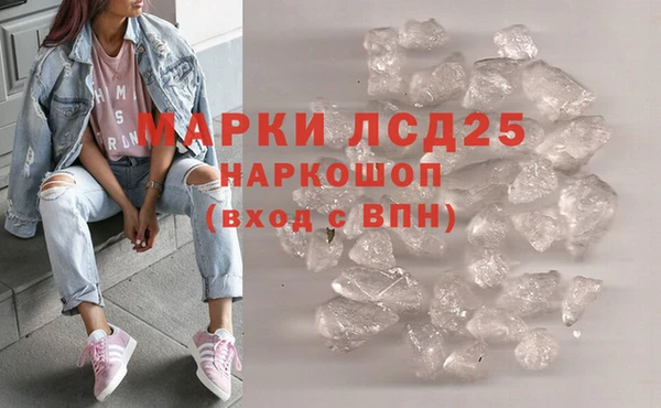 гашик Верея